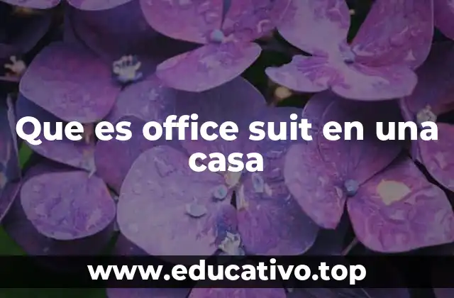 Que es office suit en una casa