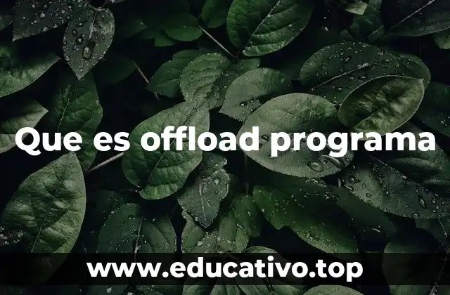 Que es offload programa