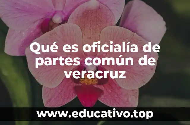 Qué es oficialía de partes común de veracruz