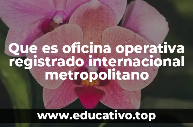 Que es oficina operativa registrado internacional metropolitano