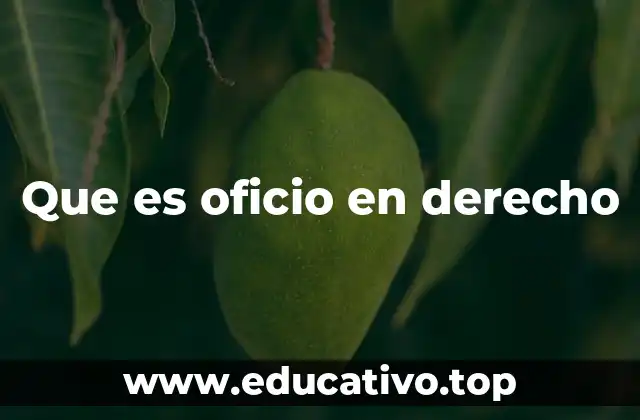 Que es oficio en derecho