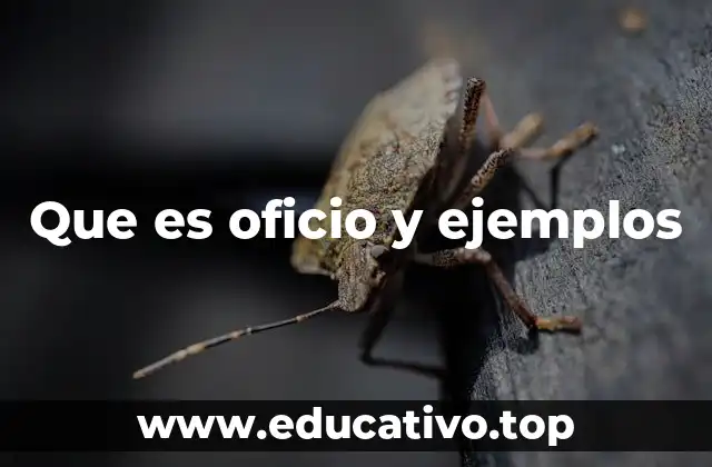 Que es oficio y ejemplos