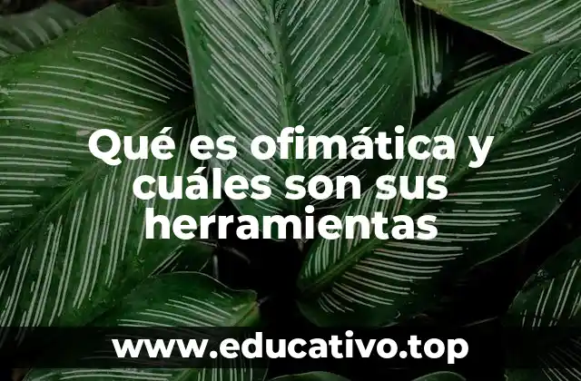 Qué es ofimática y cuáles son sus herramientas