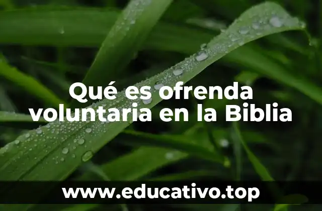 Qué es ofrenda voluntaria en la Biblia