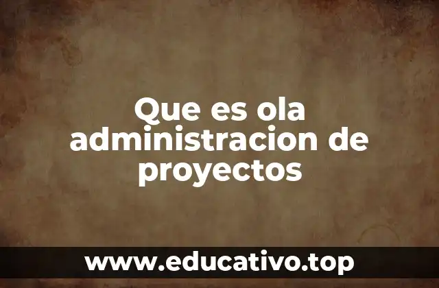 Que es ola administracion de proyectos