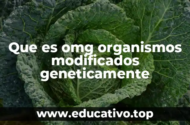 Que es omg organismos modificados geneticamente