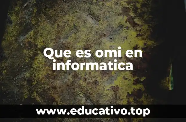 Que es omi en informatica