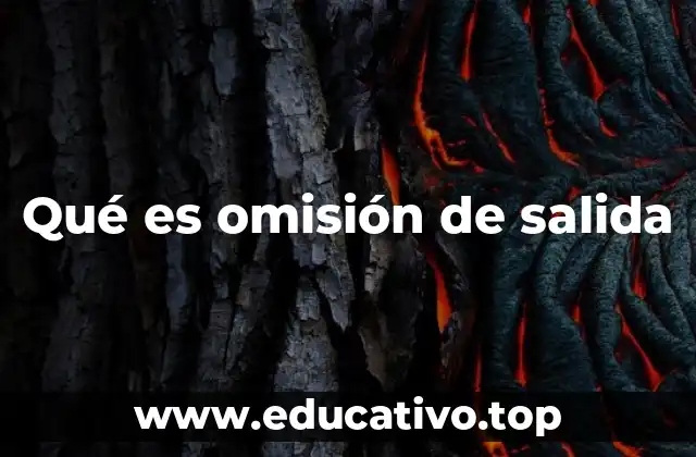 Qué es omisión de salida