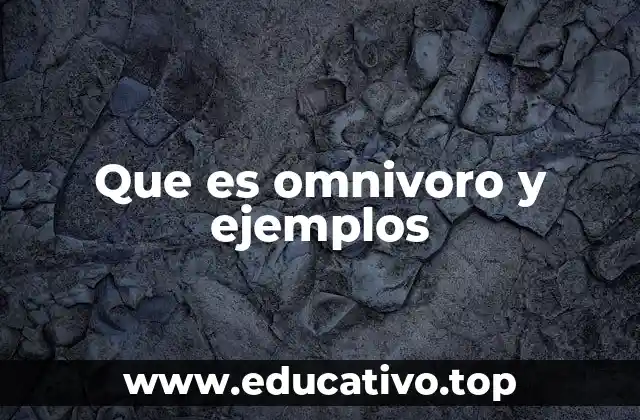 Que es omnivoro y ejemplos