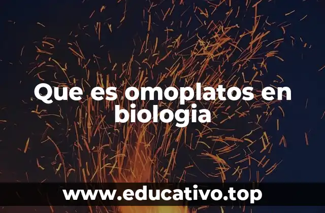 Que es omoplatos en biologia