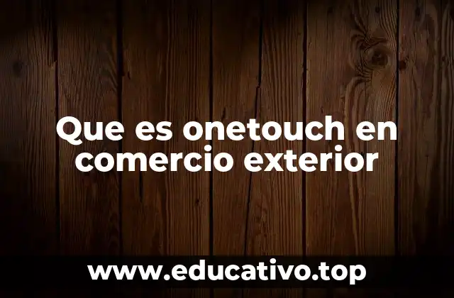 Que es onetouch en comercio exterior