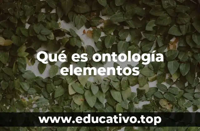 Qué es ontología elementos