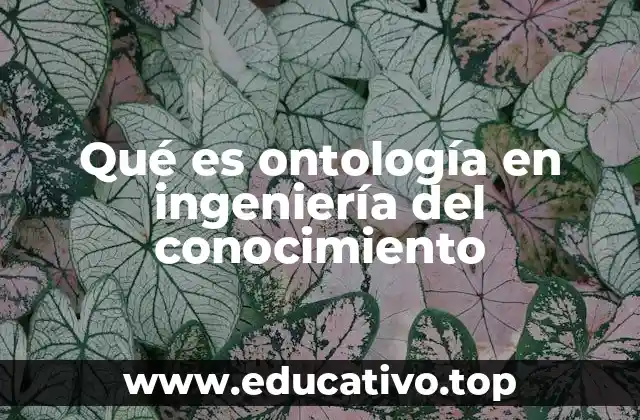 Qué es ontología en ingeniería del conocimiento