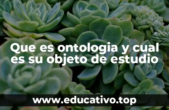 Que es ontologia y cual es su objeto de estudio