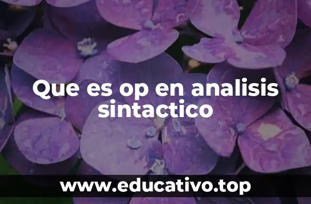 Que es op en analisis sintactico