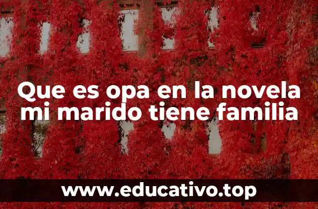 El rol de OPA en la estructura familiar de la novela