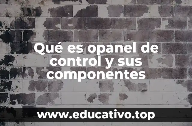 Qué es opanel de control y sus componentes
