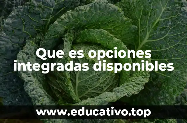 Que es opciones integradas disponibles