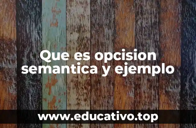 Que es opcision semantica y ejemplo
