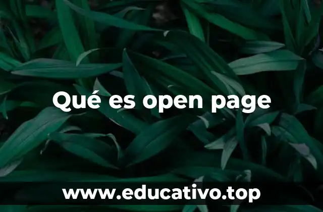 Qué es open page