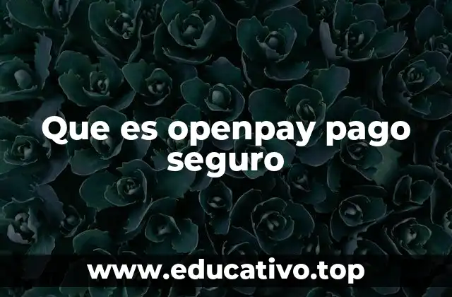 Que es openpay pago seguro