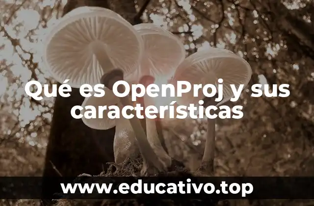 Qué es OpenProj y sus características