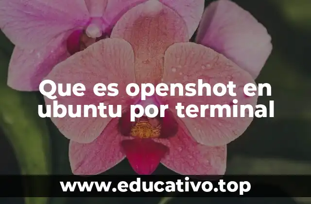 Que es openshot en ubuntu por terminal