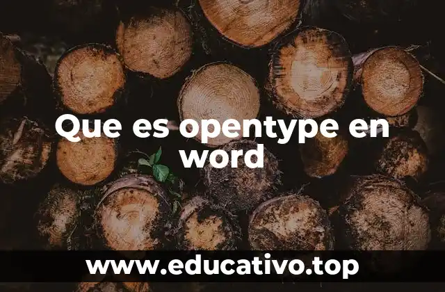 Que es opentype en word