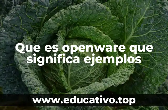 Que es openware que significa ejemplos