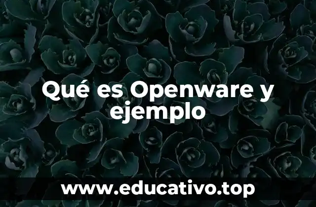 Qué es Openware y ejemplo