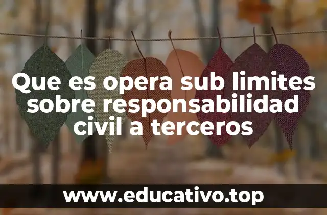 Que es opera sub limites sobre responsabilidad civil a terceros
