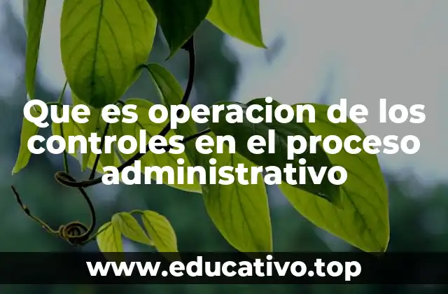 Que es operacion de los controles en el proceso administrativo