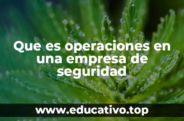 Que es operaciones en una empresa de seguridad