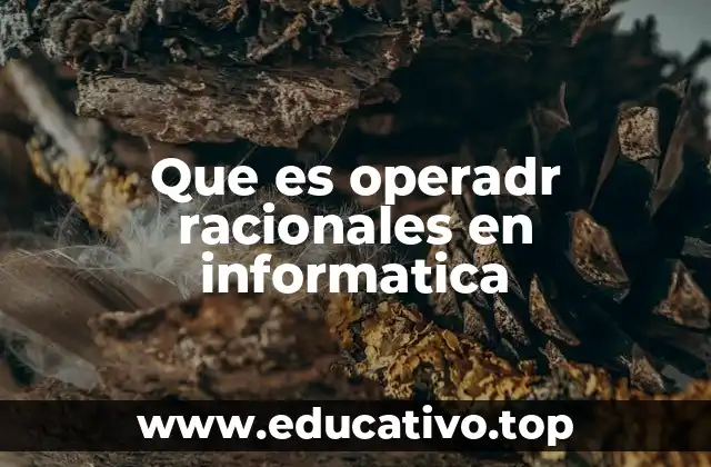 Que es operadr racionales en informatica