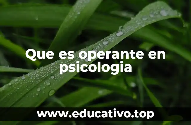 Que es operante en psicologia