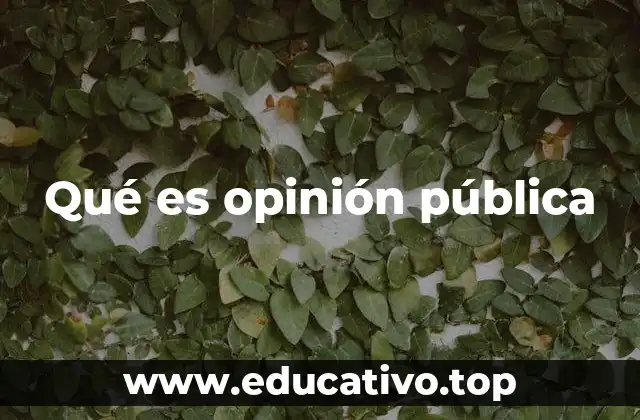 Qué es opinión pública
