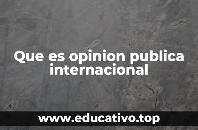 Que es opinion publica internacional