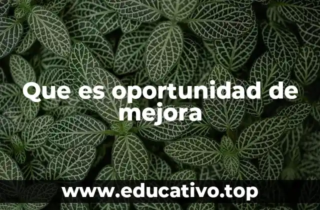 Que es oportunidad de mejora