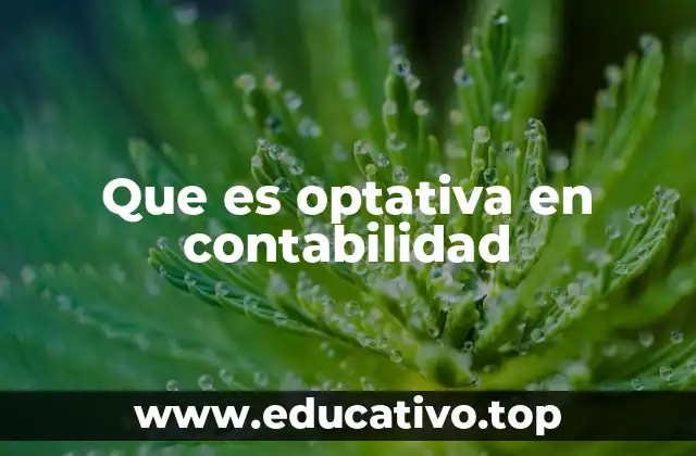 Que es optativa en contabilidad