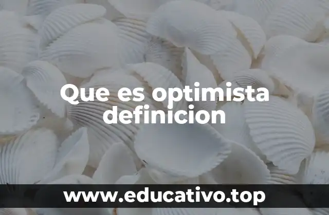 Que es optimista definicion