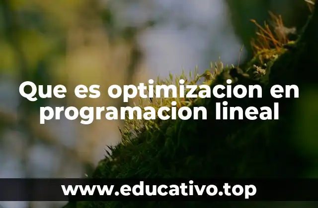 Que es optimizacion en programacion lineal