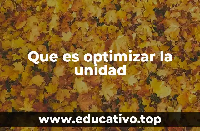 Que es optimizar la unidad