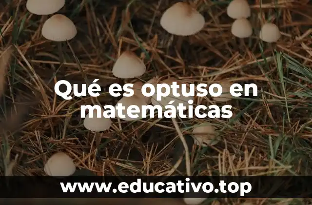 Qué es optuso en matemáticas