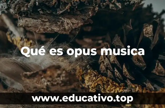 Qué es opus musica