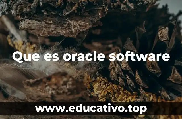 La evolución del software empresarial y Oracle en el centro del escenario