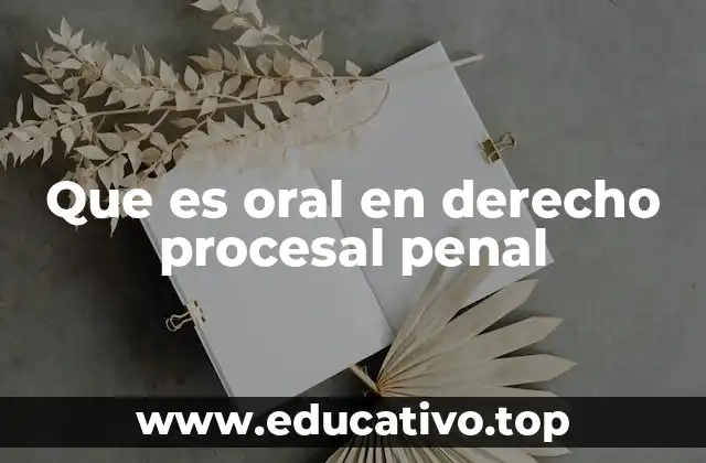 Que es oral en derecho procesal penal