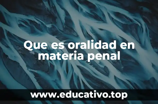 Que es oralidad en materia penal