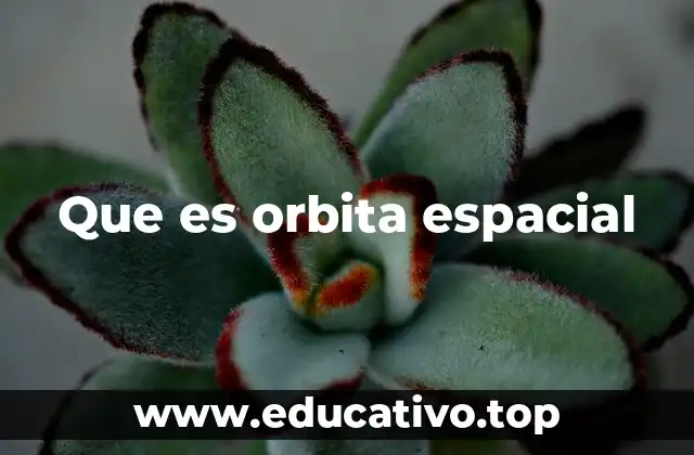 Que es orbita espacial