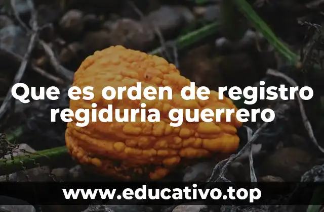 Que es orden de registro regiduria guerrero