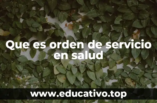 Que es orden de servicio en salud